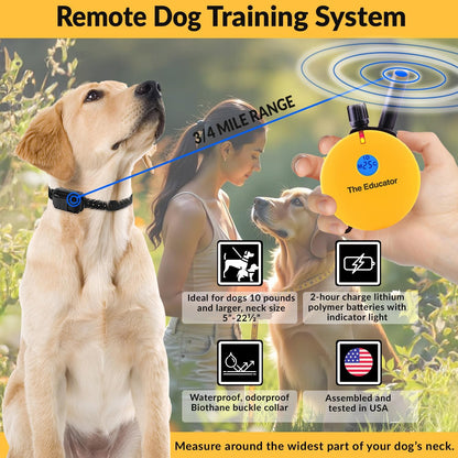 E-Collar Humane Dog Training Collar with Remote Features 100 Levels of Safe Stimulation, Tapping Sensation, Night Light, Waterproof, Rechargeable