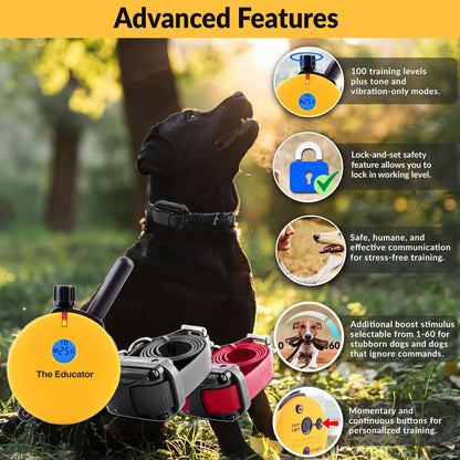 E-Collar Humane Dog Training Collar with Remote Features 100 Levels of Safe Stimulation, Tapping Sensation, Night Light, Waterproof, Rechargeable