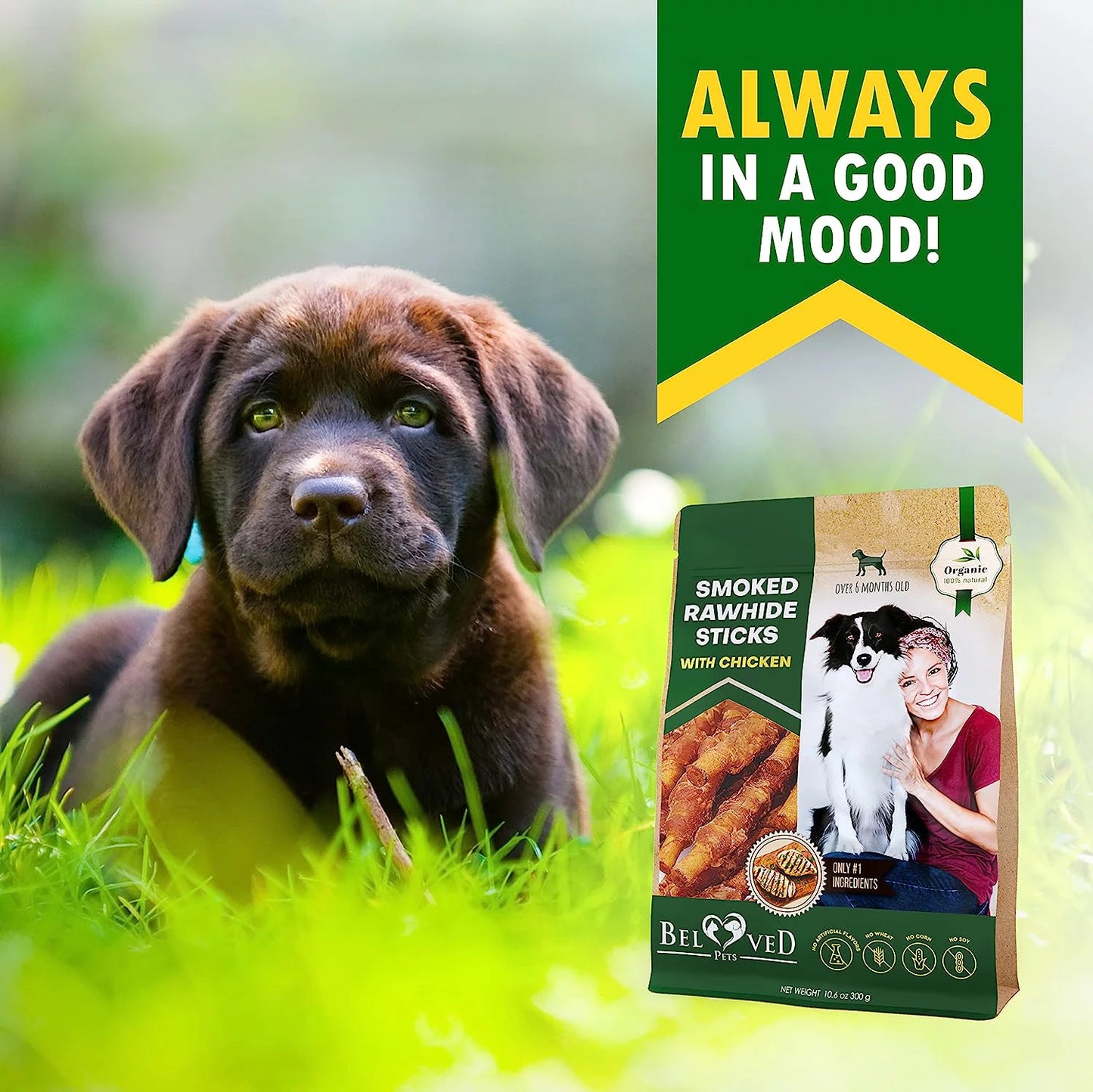 Dog Smoked Rawhide Sticks Wrapped Chicken & Pet Natural Chew Treats - Grain Free Organic Meat & Healthy Human Grade Dried Snacks in Bulk - Best Twists for Training Small & Large Dogs - Lab Tested